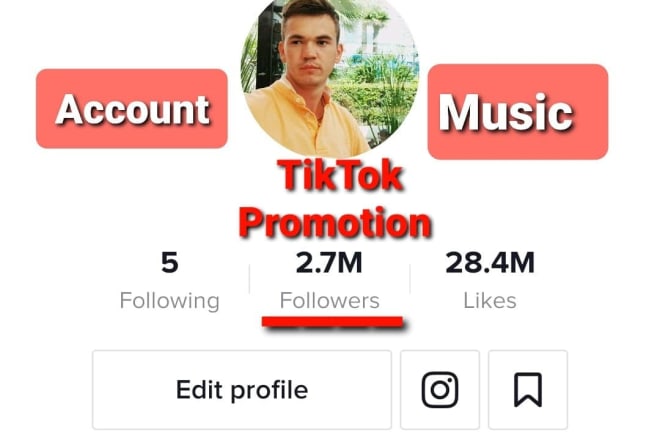 I will promote your music on my 2,7m followers tiktok