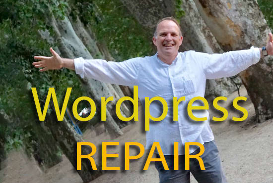 I will repair your broken wordpress site
