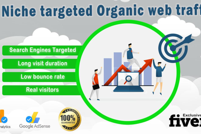 I will send niche targeted organic web traffic with low bounce rate
