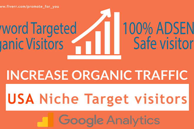 I will send USA niche targeted organic traffic from google