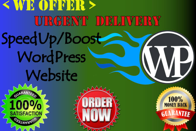 I will speedup optimize wordpress website