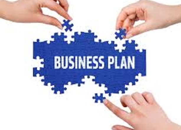 I will write complete business plan for loan and investors