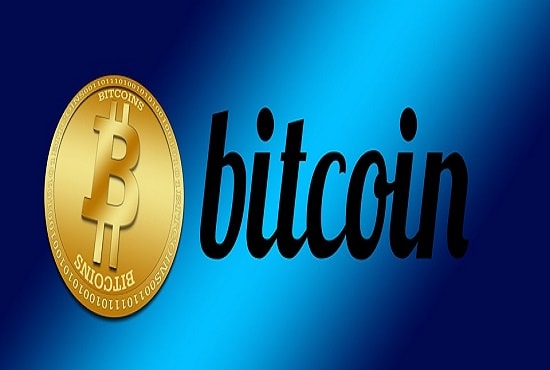 I will add bitcoin payments in wordpress and woo commerce site