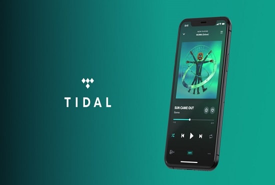 I will add your tidal music to playlist curator