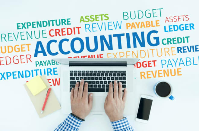 I will all types of accounting entries using software and excel