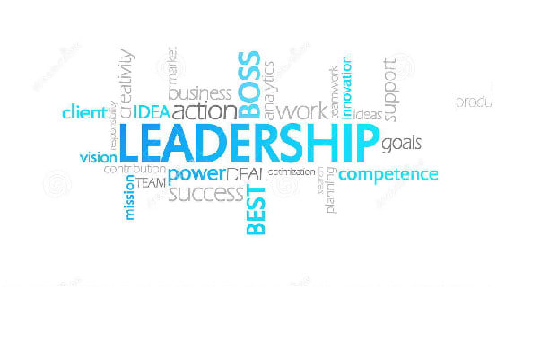 I will assist you in leadership and business management projects