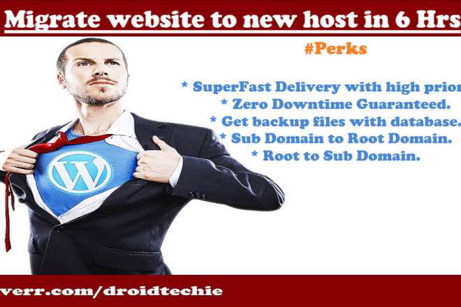 I will backup and migrate website to new hosting within 6 hrs