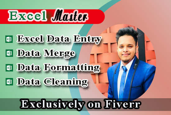 I will be your excel hero and do excel data entry, data merge, cleanup and formatting