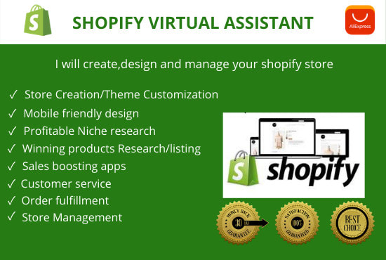 I will be your expert shopify store, shopify website virtual assistant