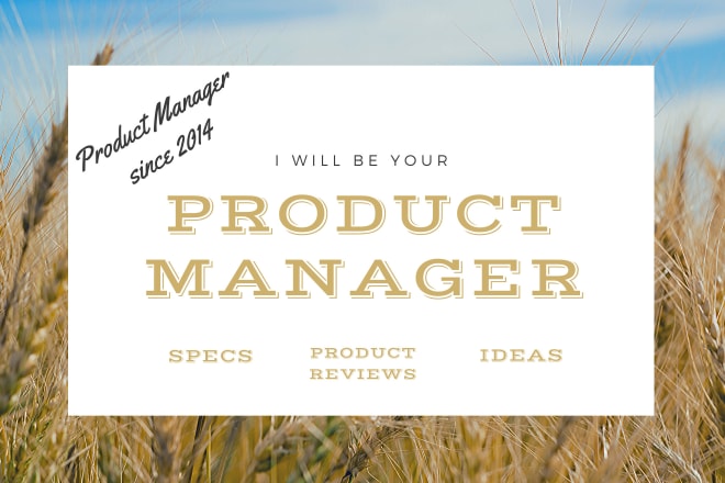 I will be your product manager