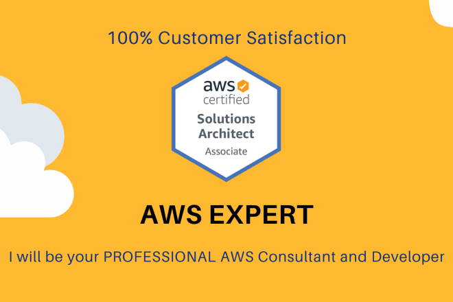 I will be your professional AWS consultant and developer