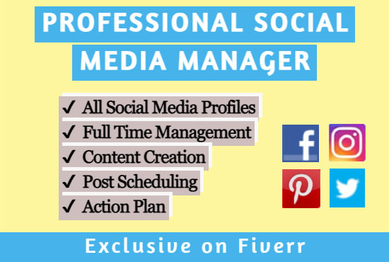 I will be your professional social media manager