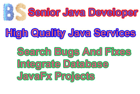 I will be your senior java developer