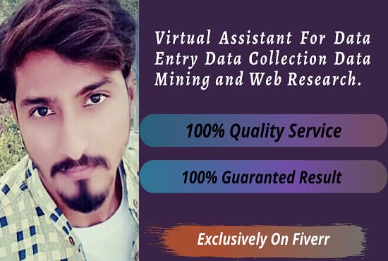 I will be your VA for data entry, data mining, and web research