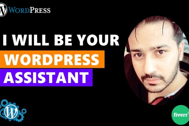 I will be your wordpress assistant