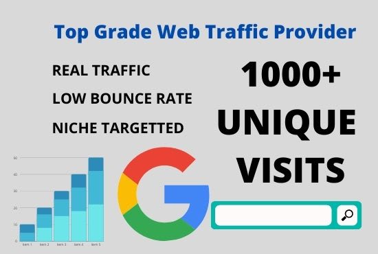 I will bring real targetted web traffic