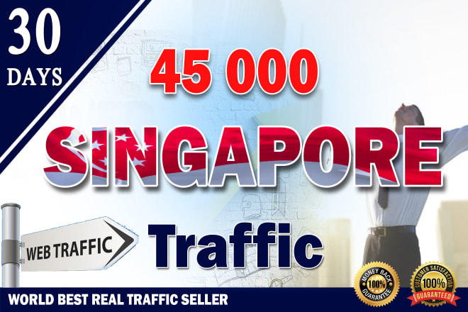 I will bring unlimited organic targeted singapore web traffic