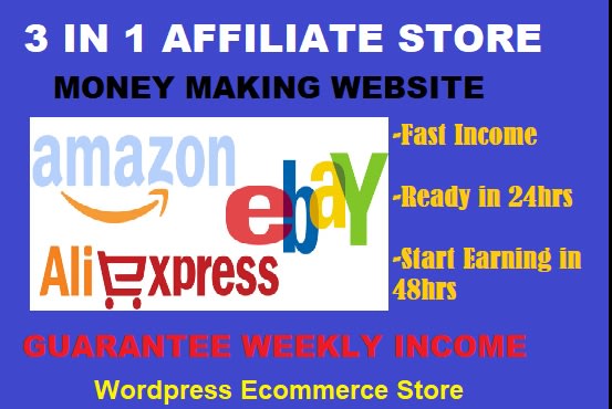 I will build affiliate marketing website selling amazon,ebay,aliexpress products
