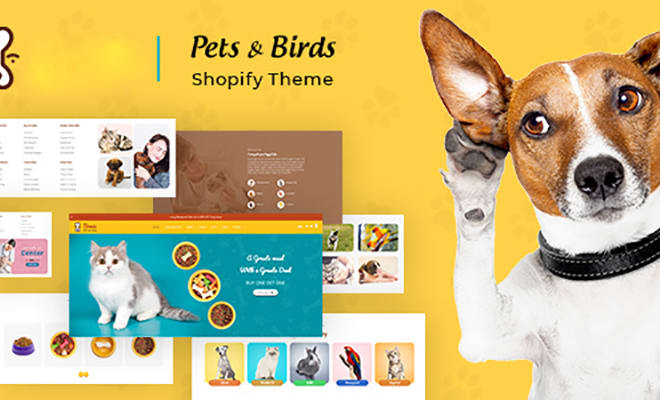 I will build an high converting pets shopify store for you