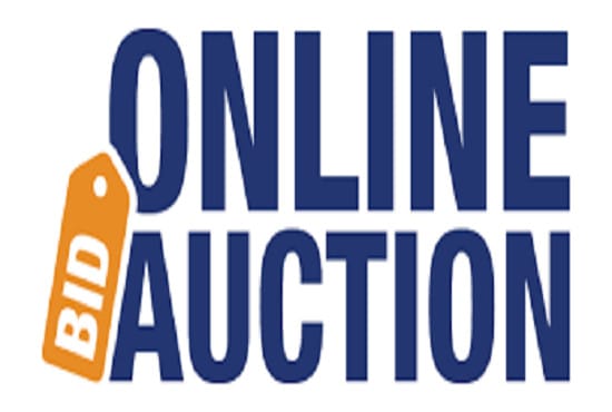 I will build auction website and a multi vendor marketplace store