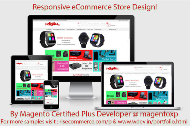 I will build custom magento 2 ecommerce store