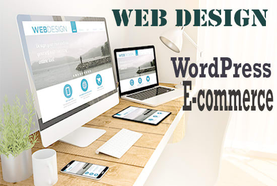 I will build e commerce web site design and development