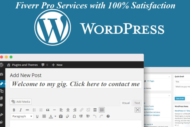 I will build or design professional wordpress blog