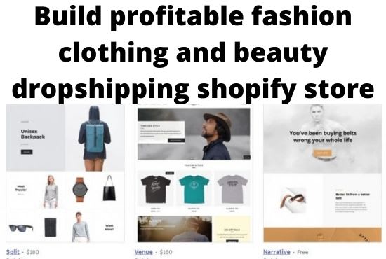 I will build profitable fashion and beauty dropshipping shopify store