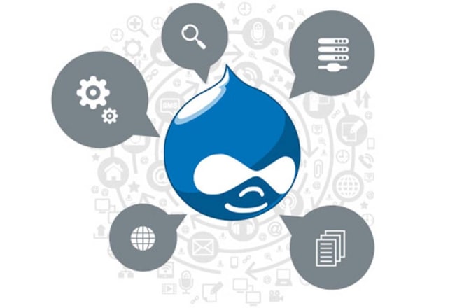 I will build responsive drupal site