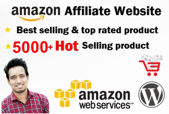 I will build worldclass autopilot amazon affiliate website with top selling products