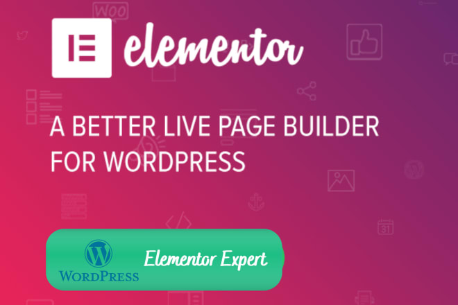 I will built professional and responsive wordpress website with elementor