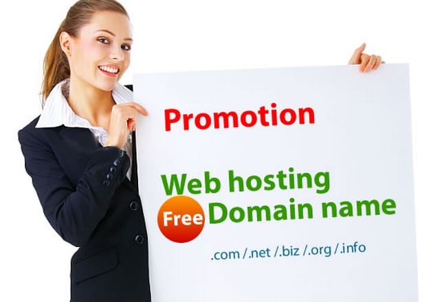 I will buy a domain name and wordpress hosting for 1 year free