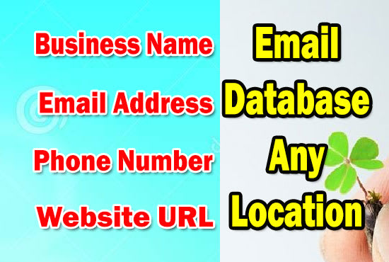 I will collect business email list database by location