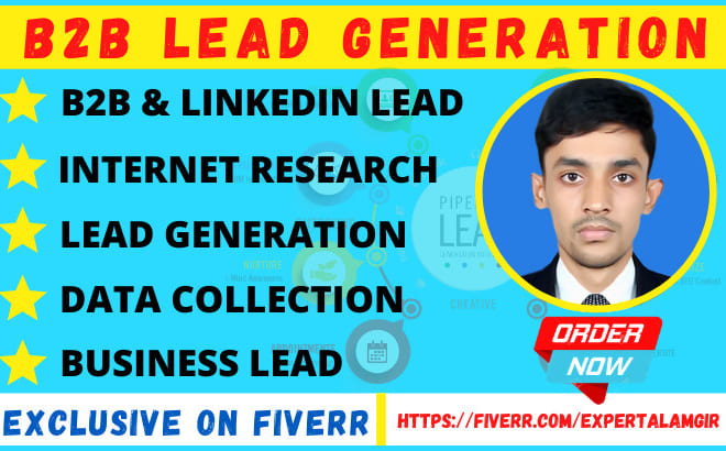 I will collect targeted b2b lead generation and email list building