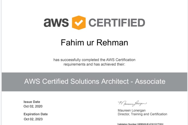 I will configure ec2, rds, s3, elb, route53, ses, iam, vps, and core AWS services