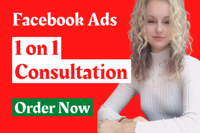 I will consult you on facebook ads