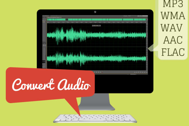 I will convert audio to any format