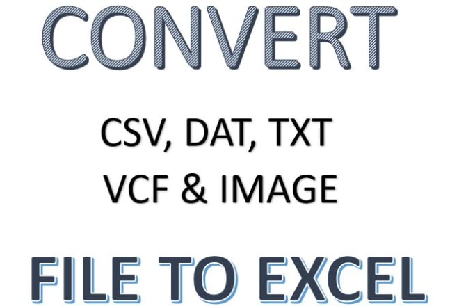 I will convert csv, dat, txt, pdf, vcf, image file to excel