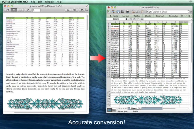I will convert pdf to excel or word, 20 pages for 5 only