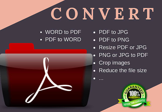 I will convert PDF to word and word to PDF