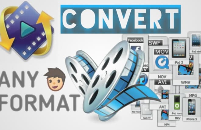 I will convert video to any file format avi mp4 wmv mpeg