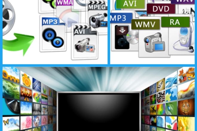 I will convert video to any format mp4, avi, mpeg, mp3