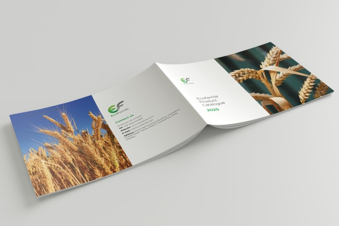 I will copywrite and design brochure, product catalog, booklet