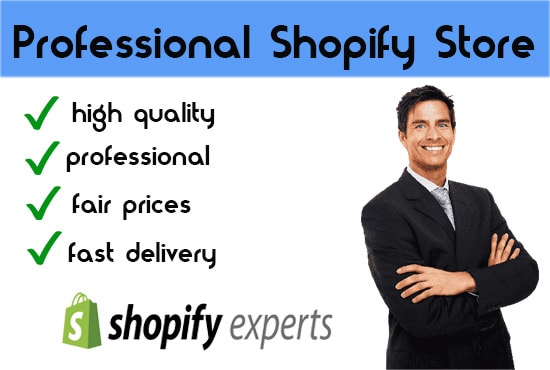 I will creat a professionel online shop in high quality