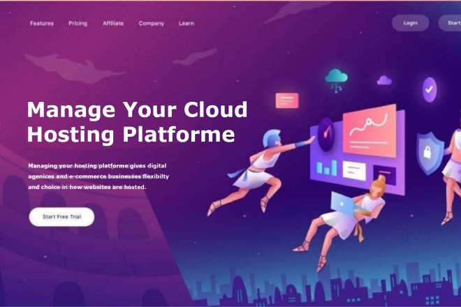 I will create a saas web hosting for your business company