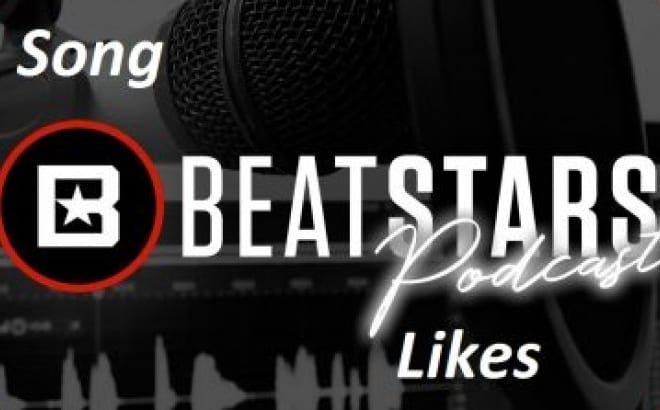 I will create a stunning beatstar promotional website