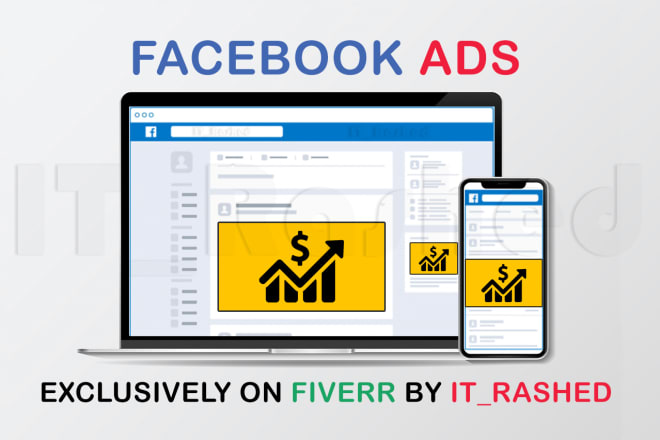 I will create and manage facebook ads campaign for your business