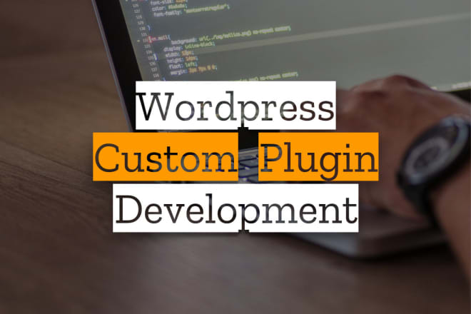 I will create custom plugin for wordpress