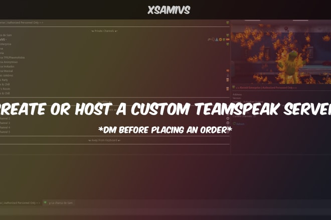 I will create or host a custom teamspeak server