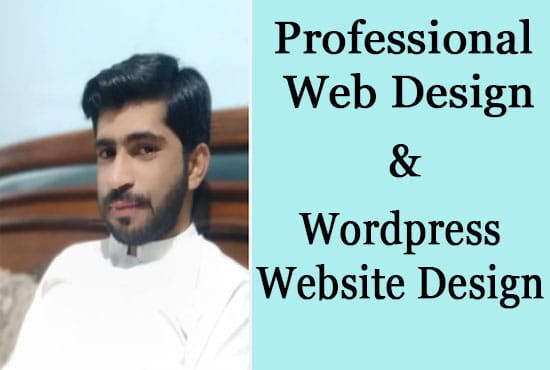 I will create professional web design and wordpress website design